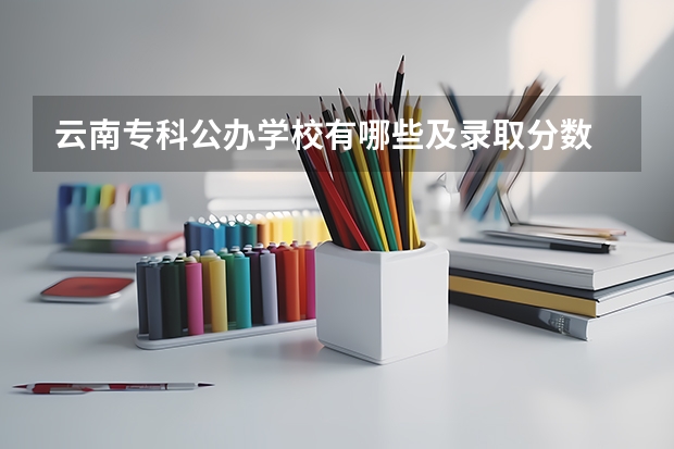 云南专科公办学校有哪些及录取分数