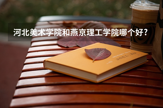 河北美术学院和燕京理工学院哪个好?