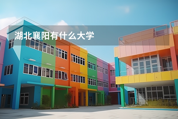 湖北襄阳有什么大学
