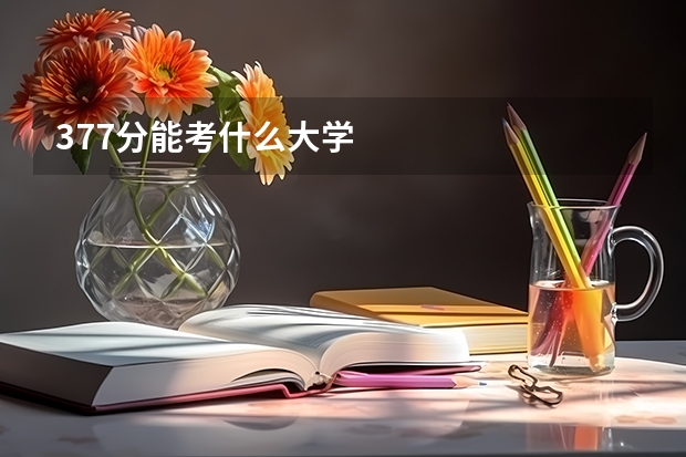 377分能考什么大学