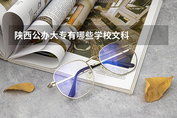 陕西公办大专有哪些学校文科
