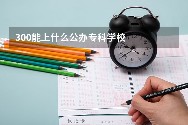 300能上什么公办专科学校
