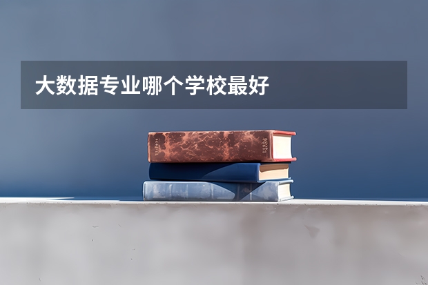 大数据专业哪个学校最好
