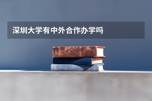 深圳大学有中外合作办学吗