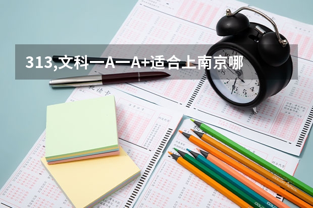 313,文科一A一A+适合上南京哪些好的大专院校，具体学校名字列出来
