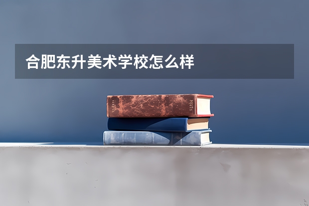 合肥东升美术学校怎么样