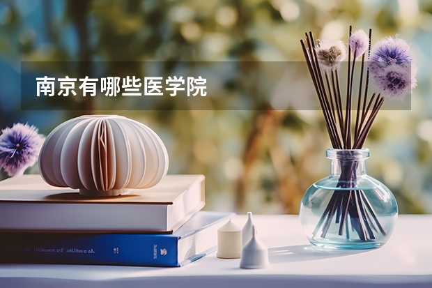 南京有哪些医学院