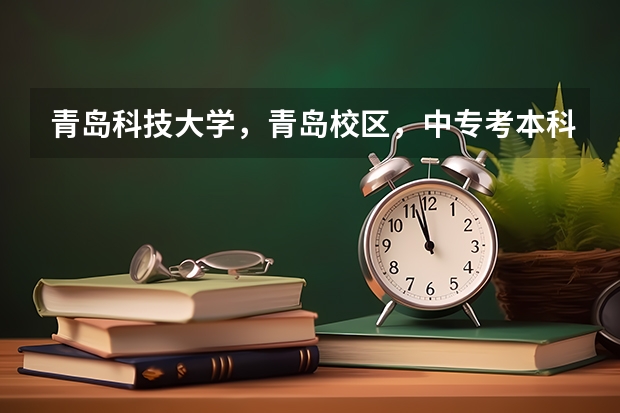 青岛科技大学，青岛校区，中专考本科的分数线是多少，财会专业的