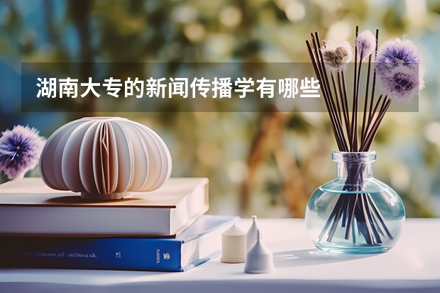 湖南大专的新闻传播学有哪些