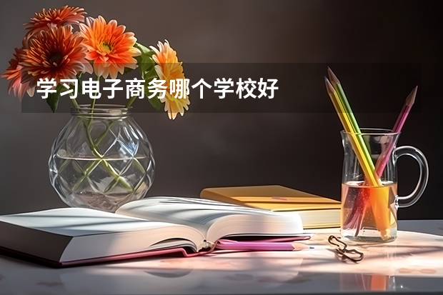学习电子商务哪个学校好