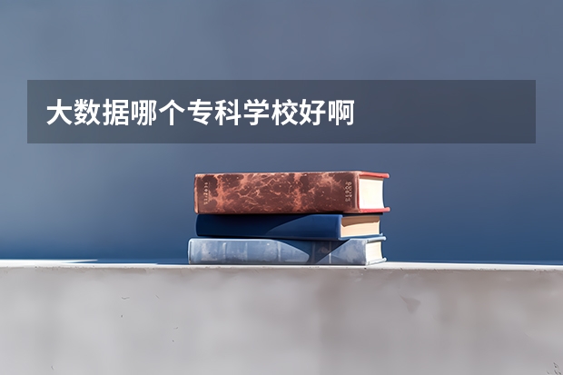 大数据哪个专科学校好啊