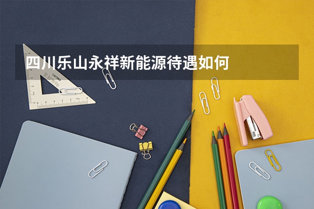 四川乐山永祥新能源待遇如何
