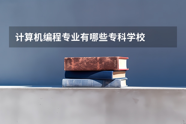 计算机编程专业有哪些专科学校