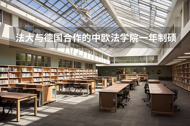法大与德国合作的中欧法学院一年制硕士招应届毕业生吗