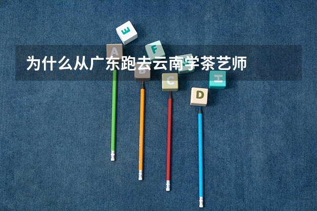 为什么从广东跑去云南学茶艺师