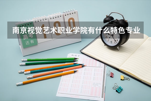 南京视觉艺术职业学院有什么特色专业，专业排名如何