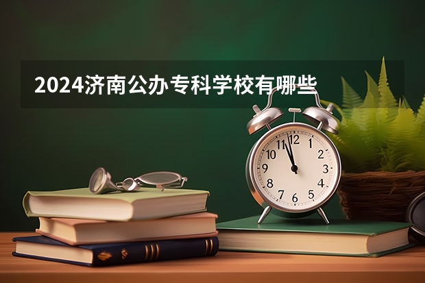 2024济南公办专科学校有哪些