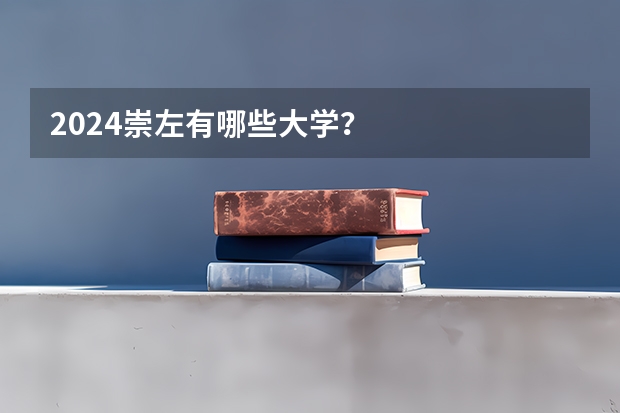 2024崇左有哪些大学？