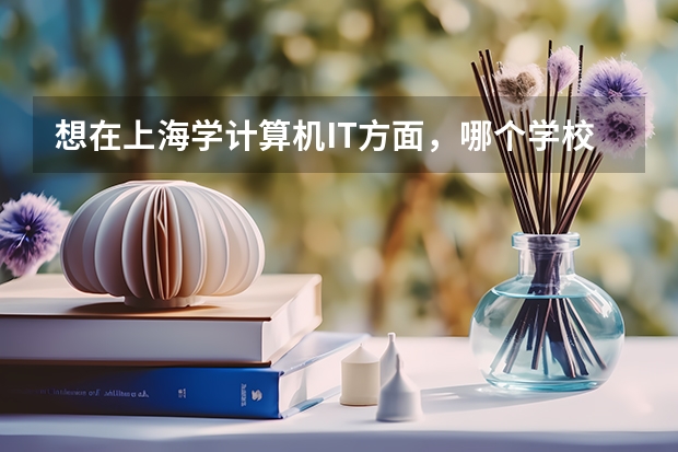 想在上海学计算机IT方面,哪个学校好