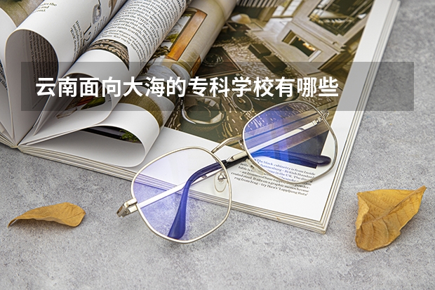 云南面向大海的专科学校有哪些