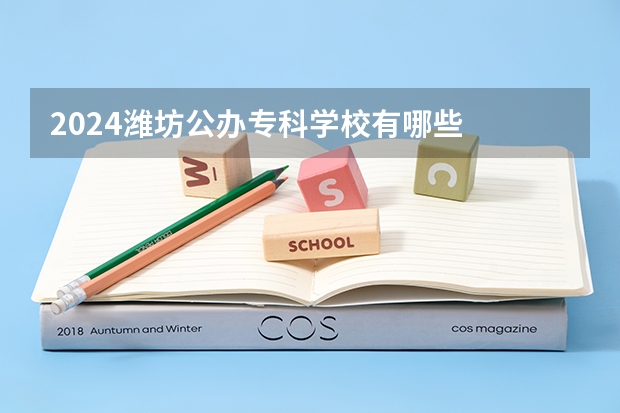 2024潍坊公办专科学校有哪些