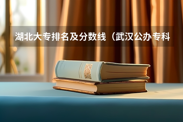 湖北大专排名及分数线（武汉公办专科学校排名及分数线）